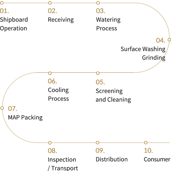 processing flowchart